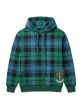 Campbell Ancient Tartan Hoodie