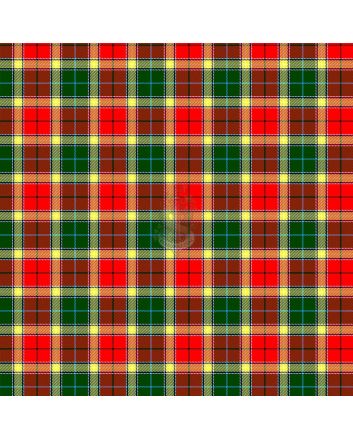 Baird Modern Tartan Kilt