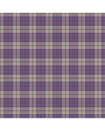 Hunter Of Peebleshire Tartan Traditional Kilt